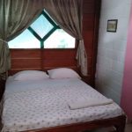 IMG-20220227-WA0071 (1)